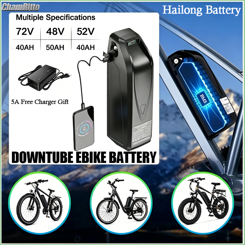 Ebike Battery 48V 20Ah Hailong - بطارية دراجة كهربائية هايلونج 48 فولت